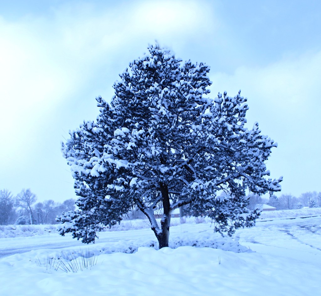 5 Ways To Embrace&nbsp;Winter